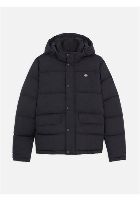 Jacket glacier puffer Dickies DICKIES | Jackets | DK0A4Y3WBLK1