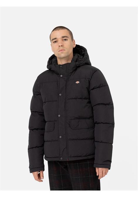 Jacket glacier puffer Dickies DICKIES | Jackets | DK0A4Y3WBLK1