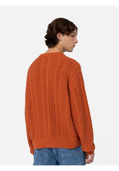 Sweater Mullinville Dickies DICKIES | Knitwear | DK0A4YMBC051