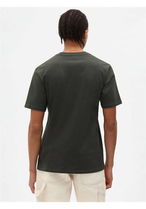 T-Shirt Mapleton Dickies DICKIES | T-shirt | DK0A4XDBOGX1